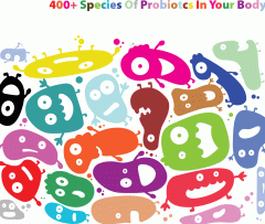 13-400-species-probiotics